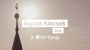Zsip